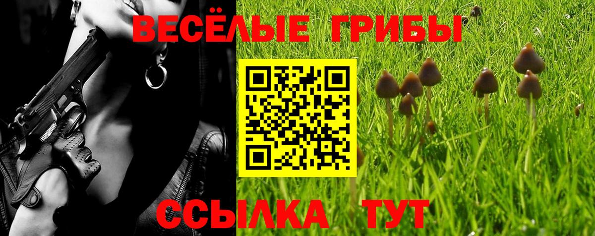 Заинск  Галлюциногенные грибы мухоморы  Вход с VPN 